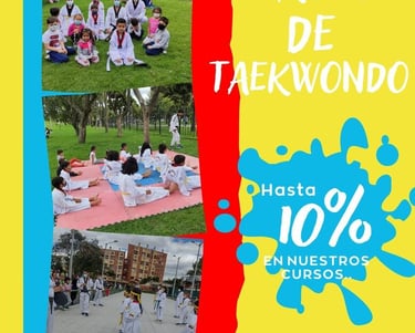 Cursos de taekwondo