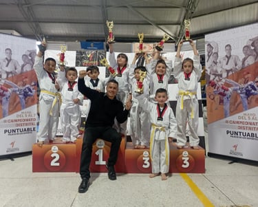 Clases de taekwondo