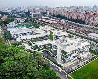 International schools foster global understanding among diverse students.