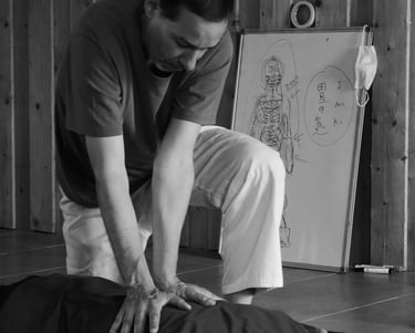 praticien shiatsu rennes