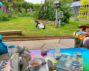 Wilbur & Cookie having a bundle in front of our garden seating area