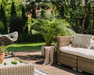 jardin exotique cocoon