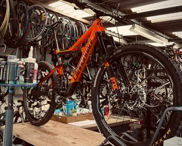 très belle photo d'un VTT de la marque Cannondale au magasin Only Bikes à Clermont-Ferrand