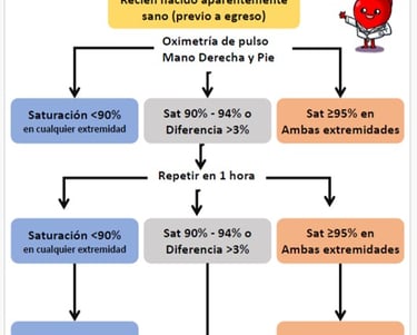 a diagram of a diagram of the cardiological diagram of the cardiological
