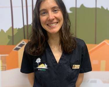 nac nouveaux animaux de compagnie vétérinaire