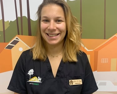 vétérinaire acupuncture biganos