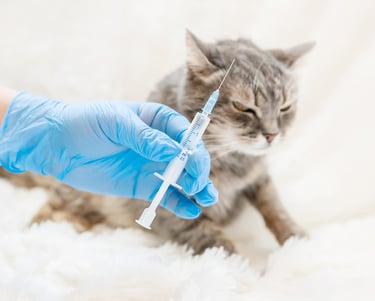 chat vétérinaire la hume