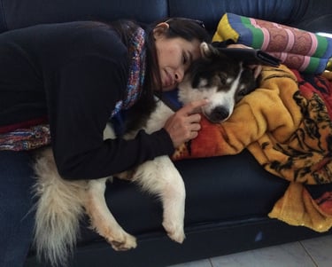 Sumo, now an old, frail dog, lovingly cared for by Parichad Khongon