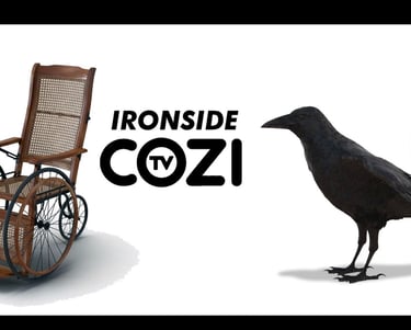 a bird sitting on a chair next to a bird