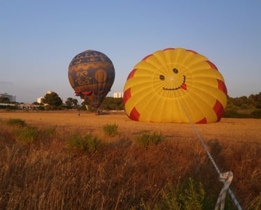 Globos aerostáticos con formas
