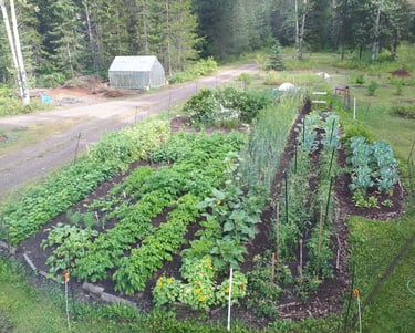 Home garden prior to expansion into Grouse House Farm