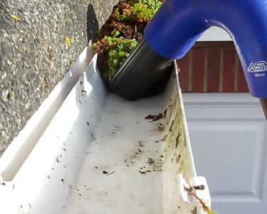 Gutter Clearing Hastings