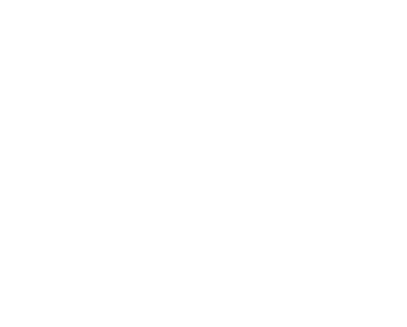 Mango Insurance vertė partneriams