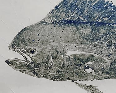 Mahi mahi fish