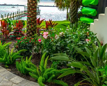 plant maintenance florida panhandle