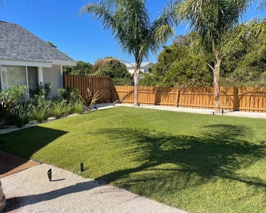 sod installation florida panhandle