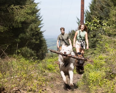 a man and woman walking down a trail on a group walk with multiple dogs such as germans shepherds