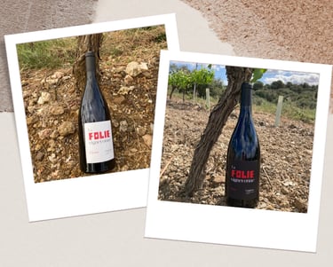 Mise en Bouteille