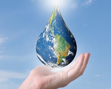 purificacion-ecologica