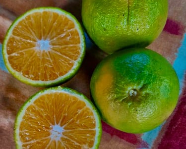 Mandarine coupée
