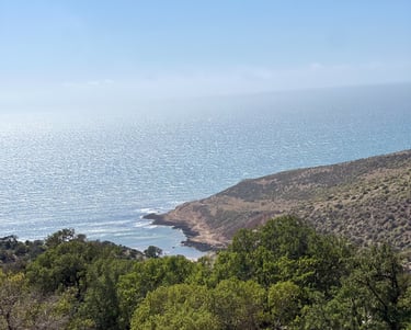 forêt, et falaise au bord de l'océan