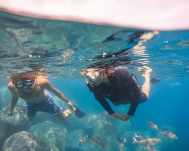 Snorkeling in Funchal, self-guided