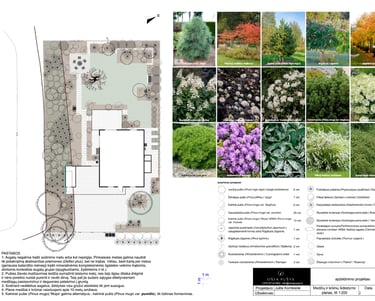 detalus apželdinimo planas