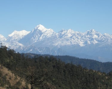 Treed hills with snowy mountains in background.