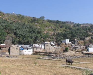 Rural homes with bare earth paddocks