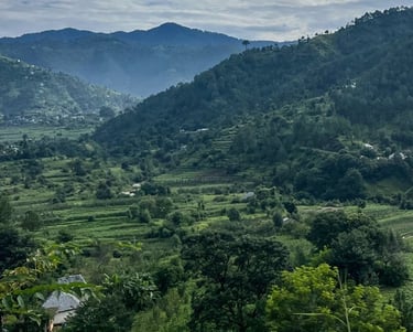 Mountains with stepped agricultural land