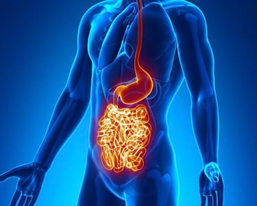 Antalya'da Crohn ve ülseratif kolit terapisi