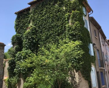 A charming Self catering accommodation ,stone house covered in lush green climbing ivy in Quillan.
