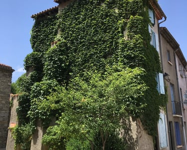 Holiday rental exterior in Quillan Aude Valley street view