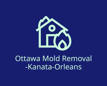 MOULD REMOVAL & REMEDIATION IN OTTAWA