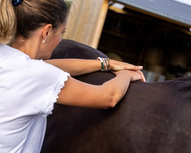 Ma passion, leur apporter bien-être émotionnel et confort physique