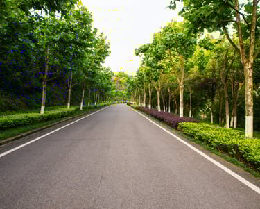 <a href="https://www.freepik.com/free-photo/beautiful-road-is-surrounded-by-greenery_1145645.htm#que