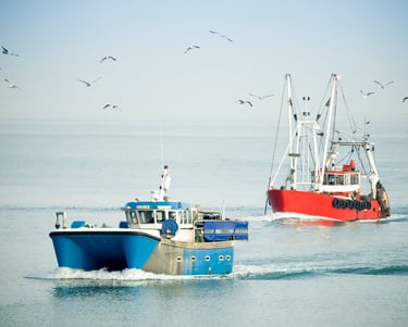two boats in the water with birds flying around