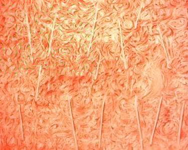 Untitled (Scratchings). Oil on linen. 2022. 122 x 122 cms.