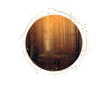 Rauhnaechte-raechern-rituale-duefte-transformation-verbindung-wachstum-kreation