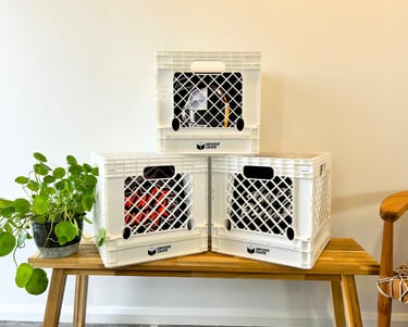 three vinyl record storage crates with a plant in the middle of them