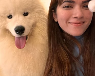 Samoyed puppies for sale in Illinois