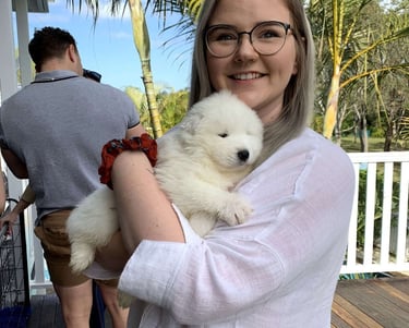 Samoyed puppies for sale in Nevada