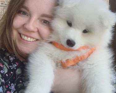 Samoyed puppies or sale in Atlanta, Georgia