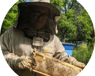 Honeybees cared with love