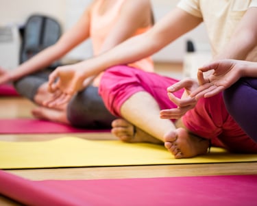 Cours collectifs de Natha Yoga à Epierre, Saint-Rémy de maurienne et Argentine