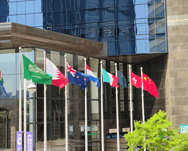 Global trading house co china