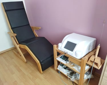 fauteuil Rayonex et Polar