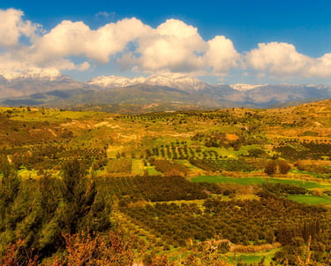 Oliveraies plaine de Messara et montagnes 