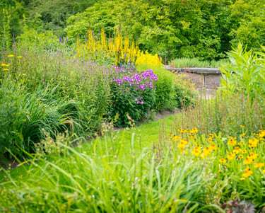 Rain Garden landscaping design Williamsburg VA