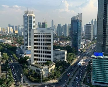 Dana Consultants Business Consulting